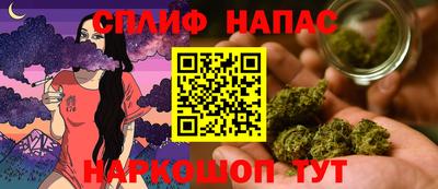 прущие грибы Малгобек
