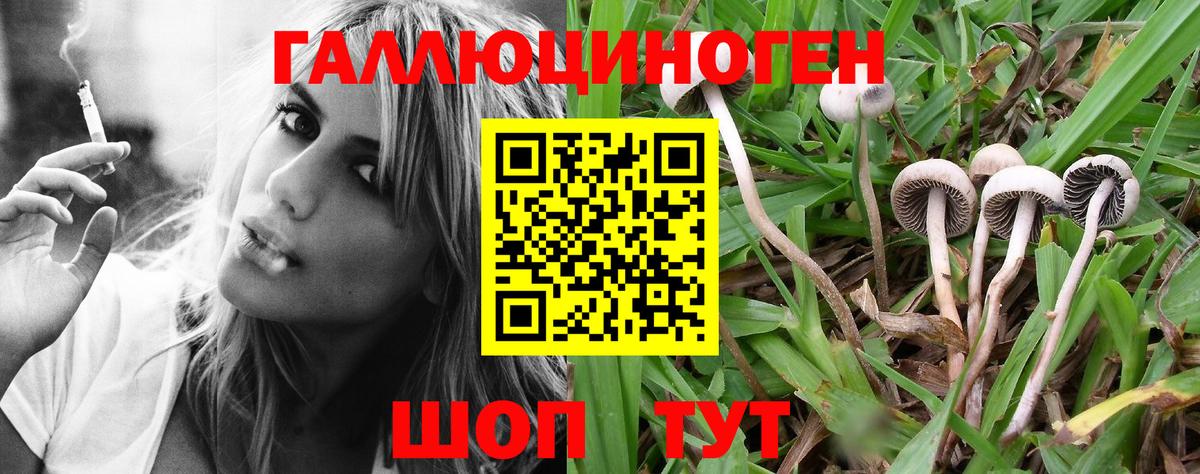 Псилоцибиновые грибы ЛСД  Вход с VPN  Сегежа  Псилоцибиновые грибы мухоморы 